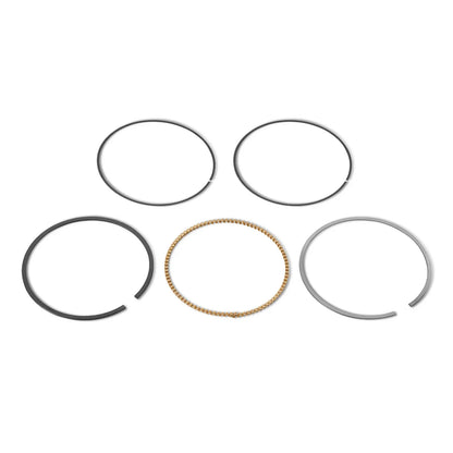 Piston Rings for HONDA GX390 Engine