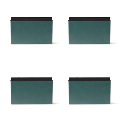 Battery for Dumper E50, EH50( SKU: 101200; 101200Y;101201R;101201 )